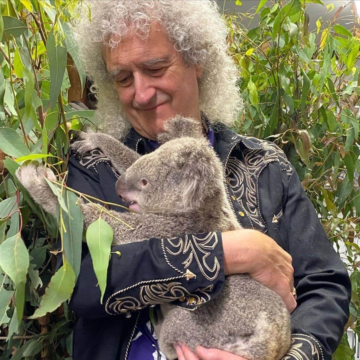 Brian May with koala...