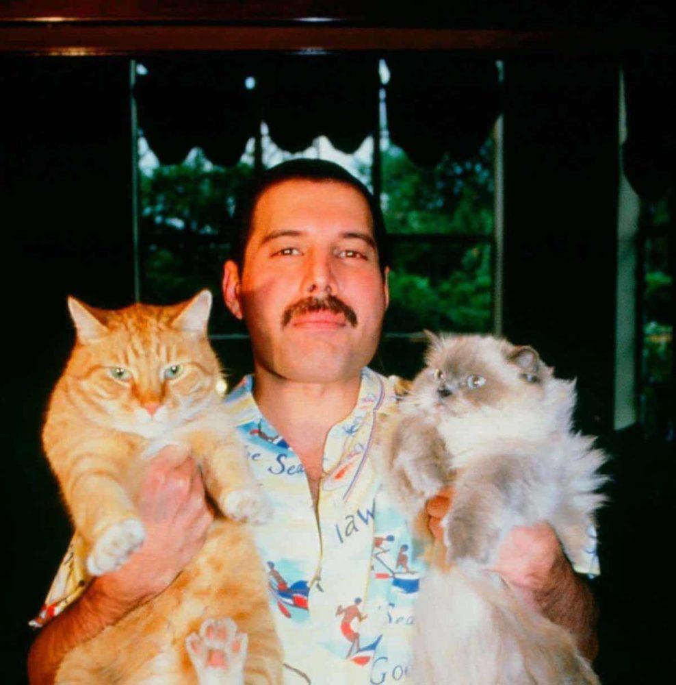 Freddie Mercury with his pets