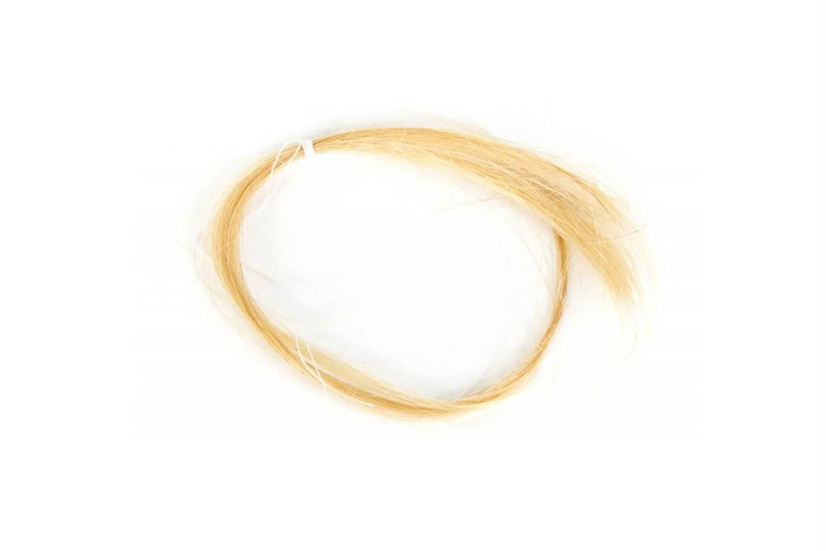 Uma madeixa de cabelo de Kurt Cobain