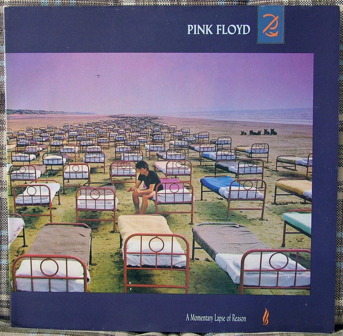 A Momentary Lapse Of The Reason cover