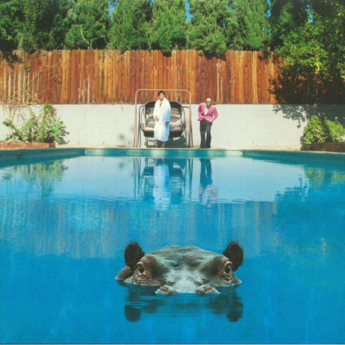 Обложка музыкального альбома Hippopotamus