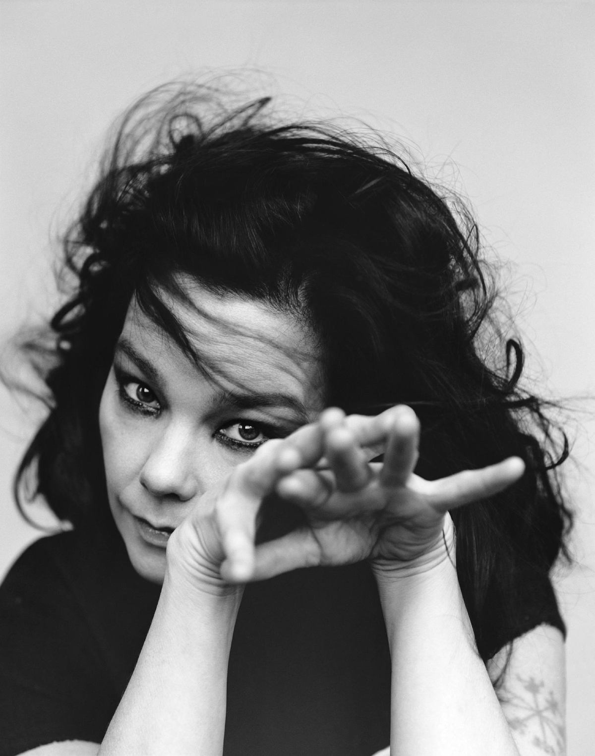 Björk (bjork)