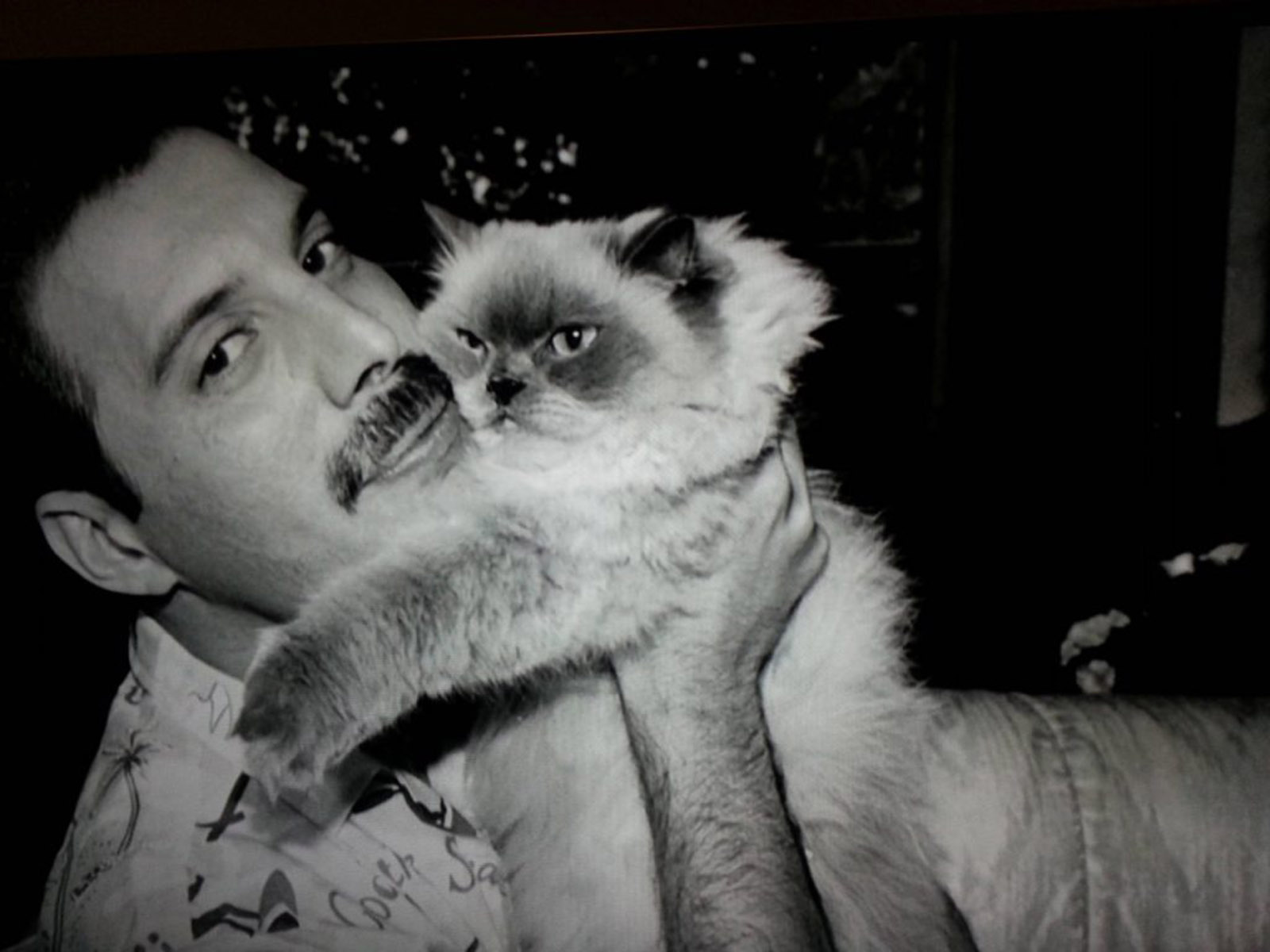 Freddie Mercury and his pet.