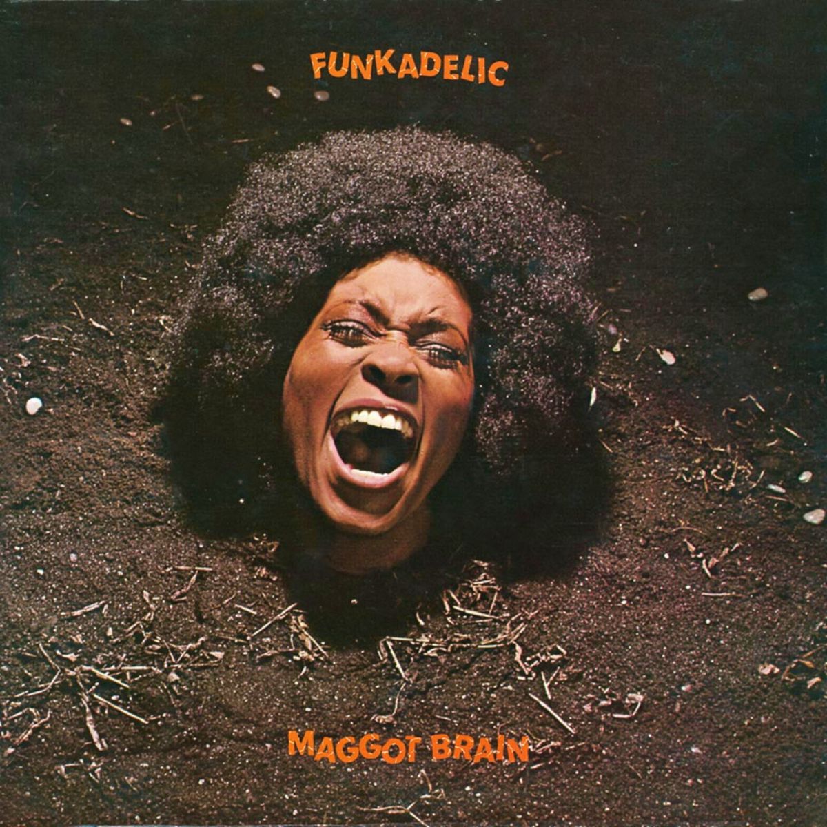 Maggot Brain (1971) - Funkadelic - capa do álbum