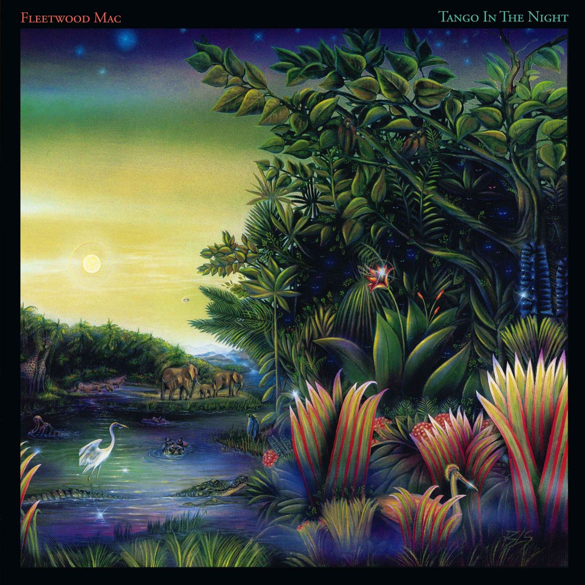 Tango in the Night (Fleetwood Mac Album Cover)