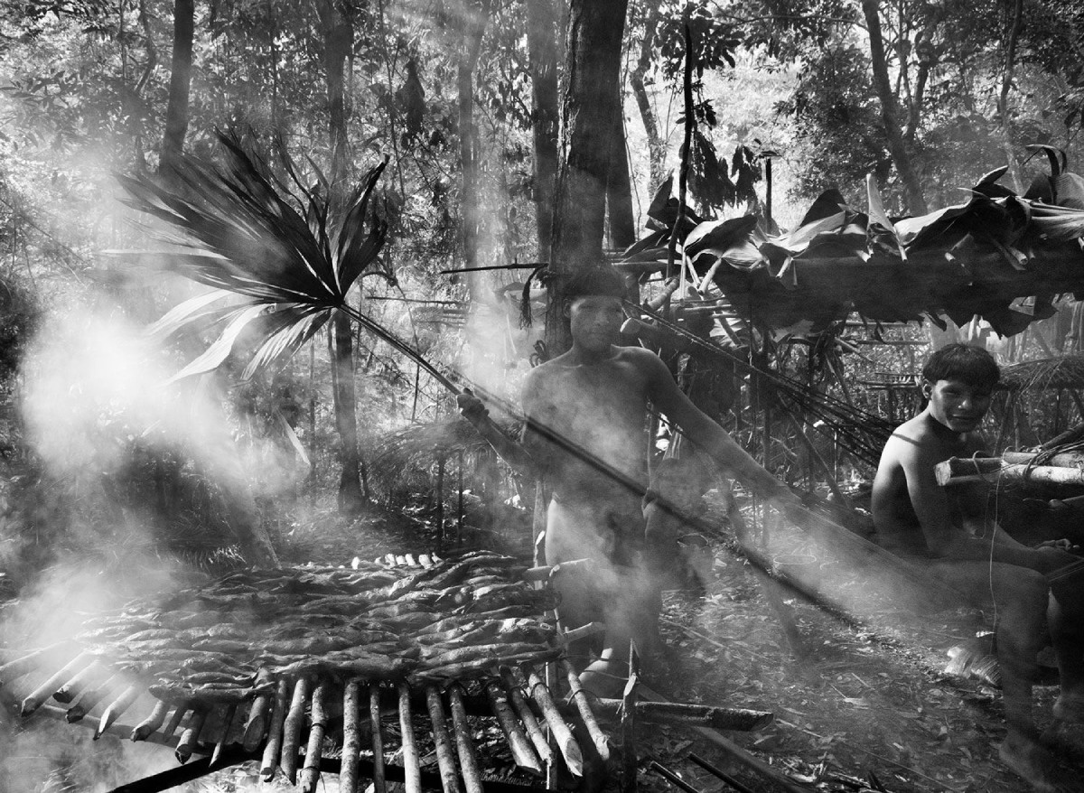 Amazônia (фото Себастьяна Салгаду)