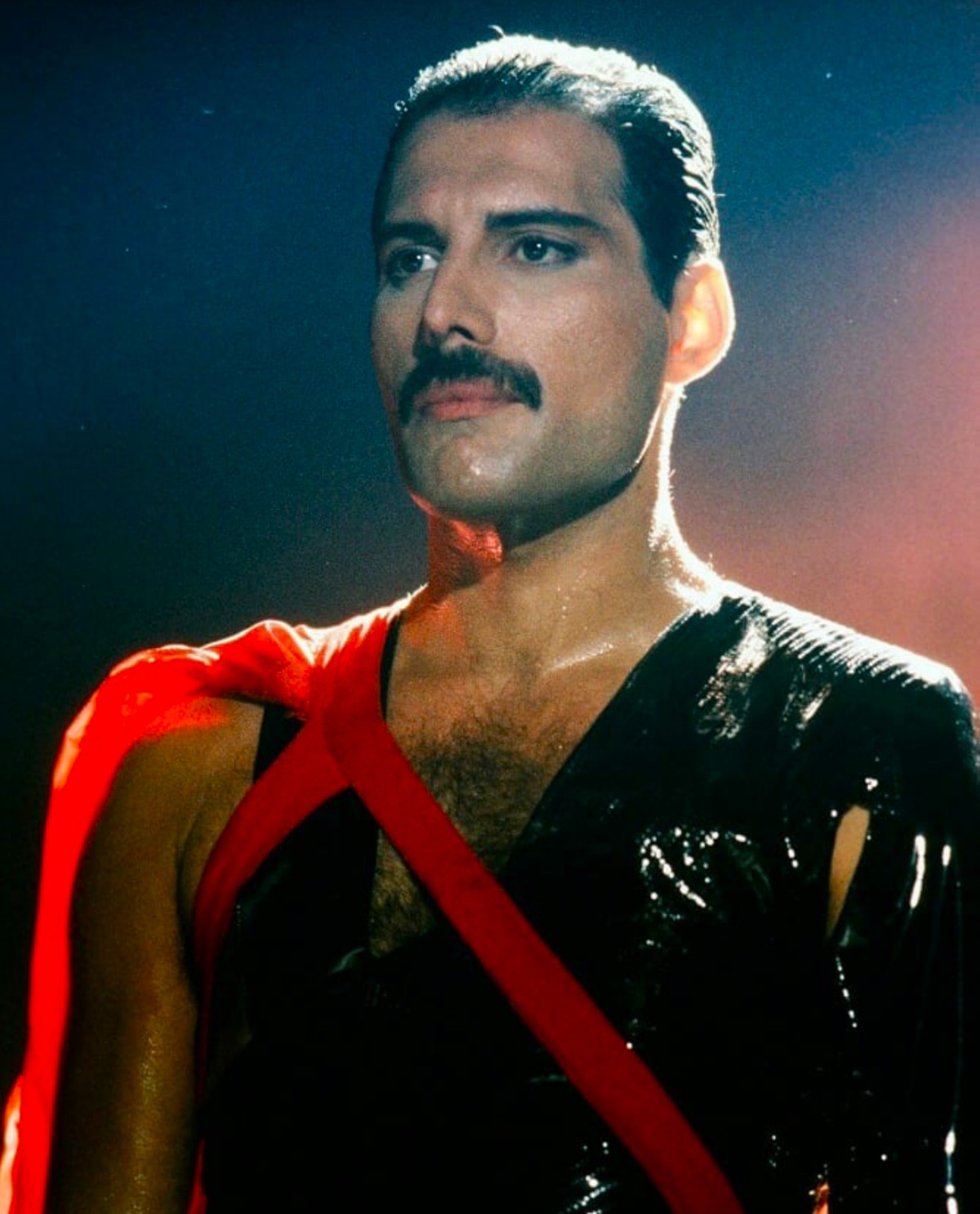 Der köstliche Freddie Mercury...