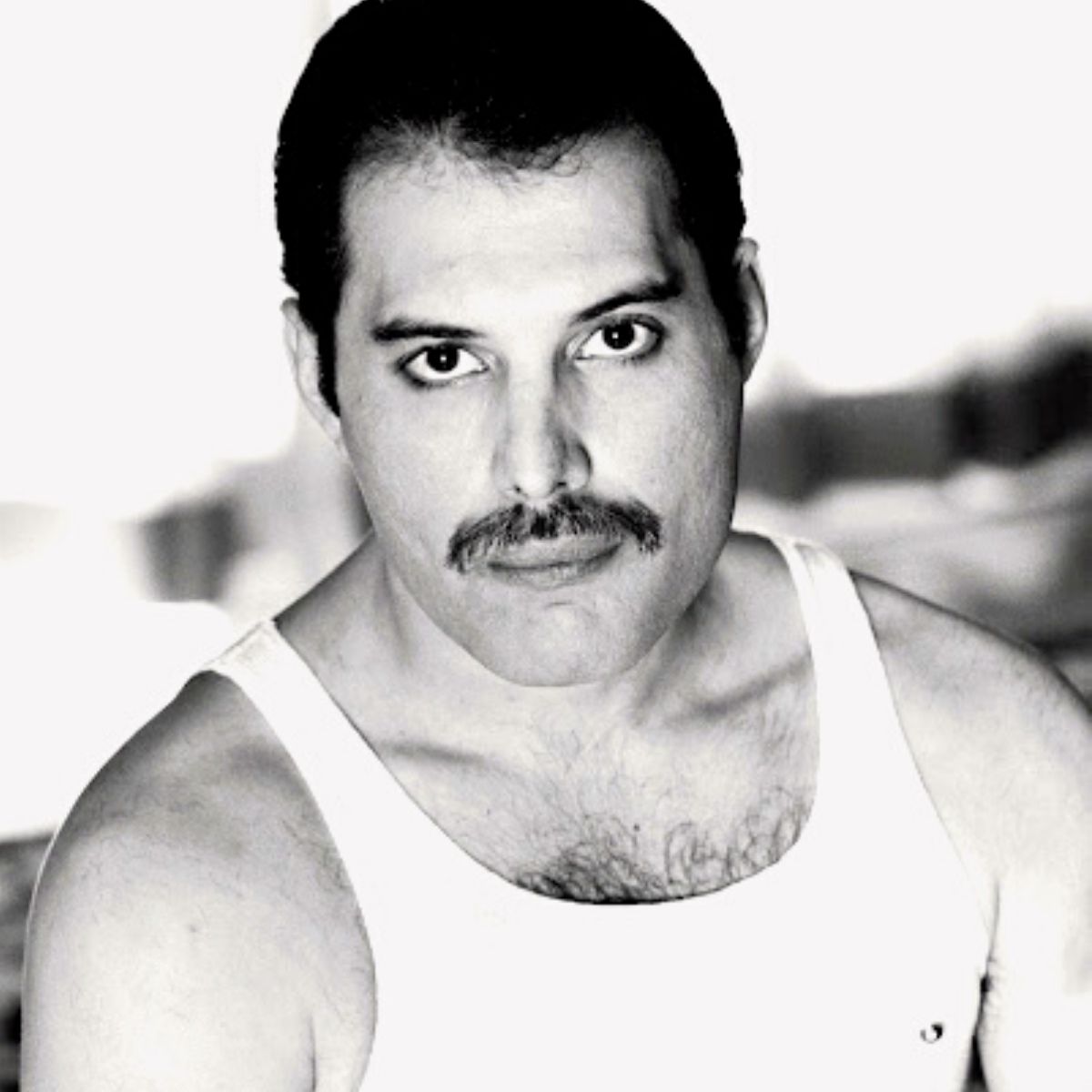 Retrato de Freddie Mercury 