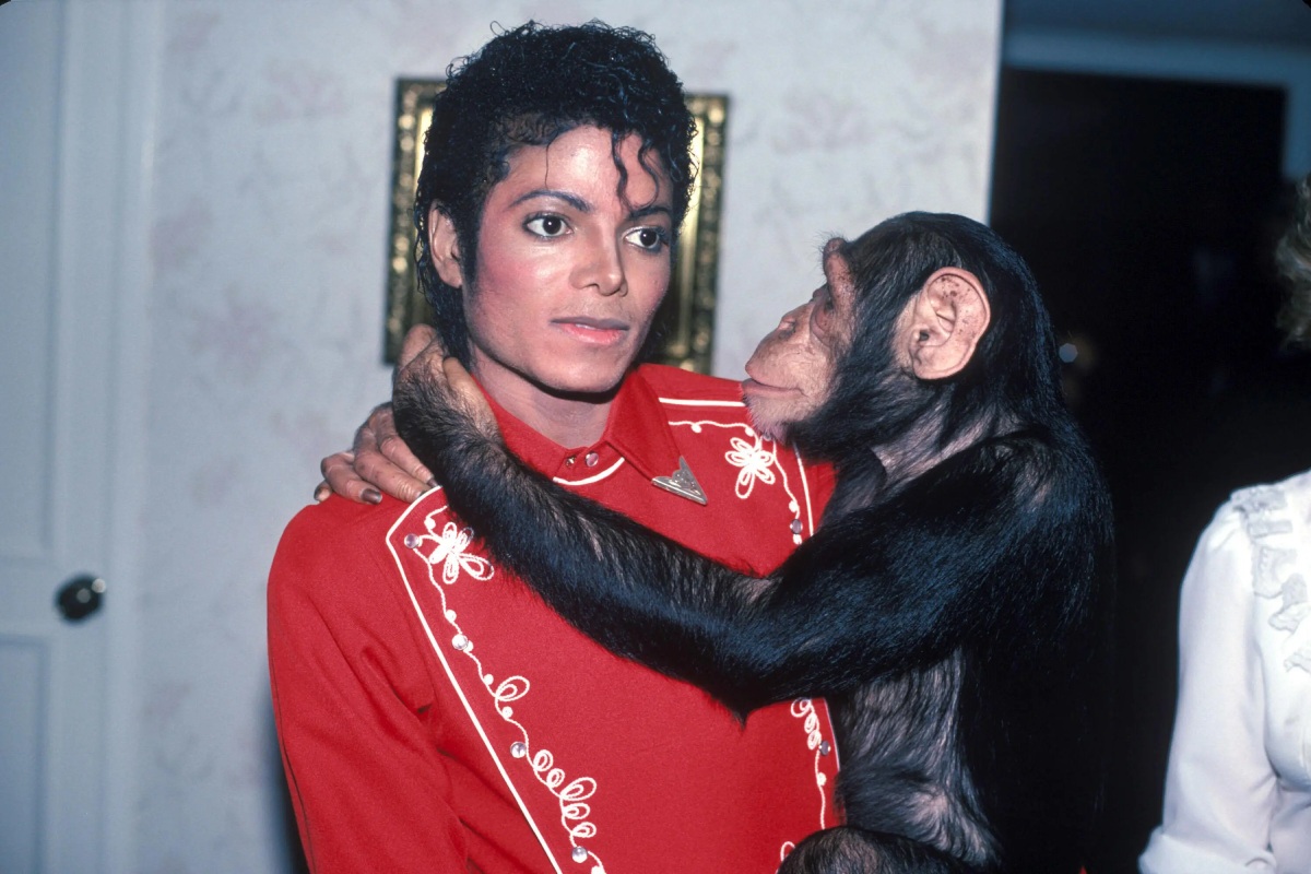 Michael Jackson and his chimpanzee Bubble