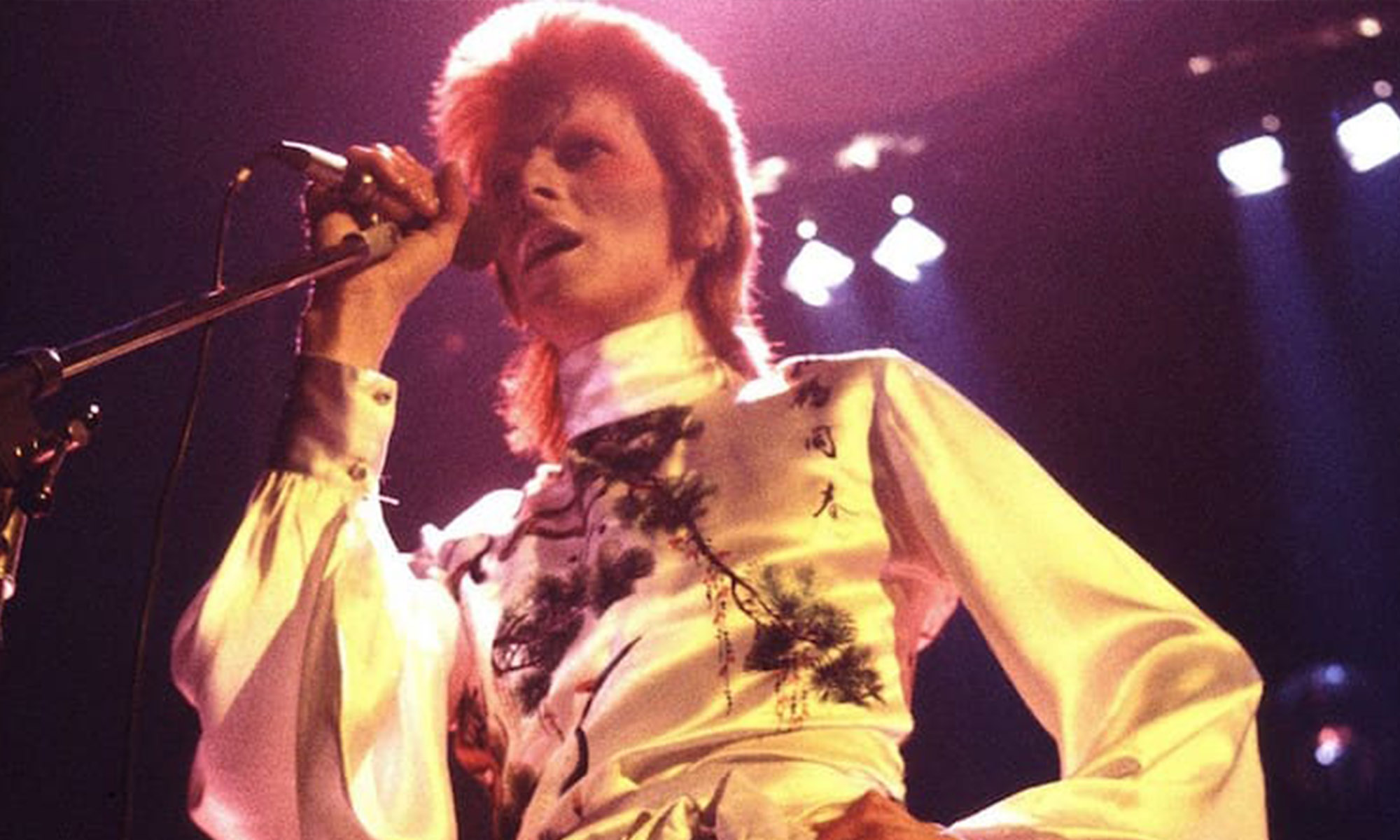 David Bowie at a concert