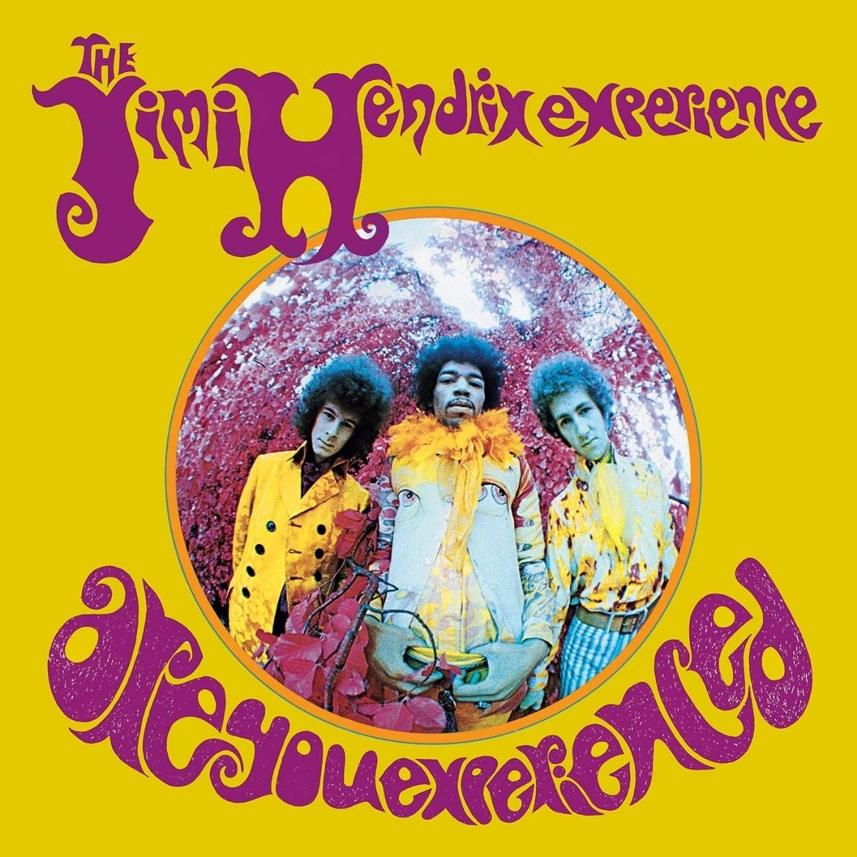 Jimi Hendrix album cover "Are You Experience" (1967)