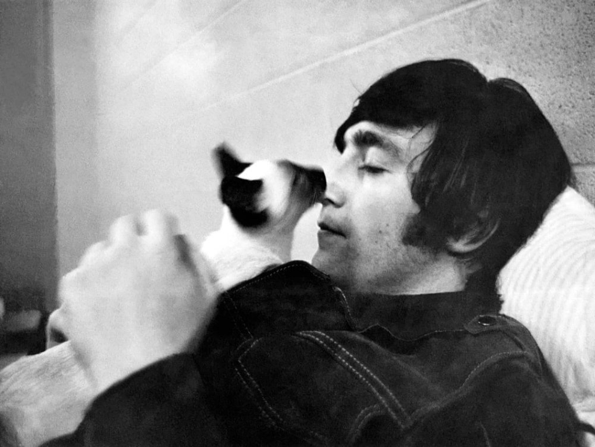 John Lennon com um gatinho