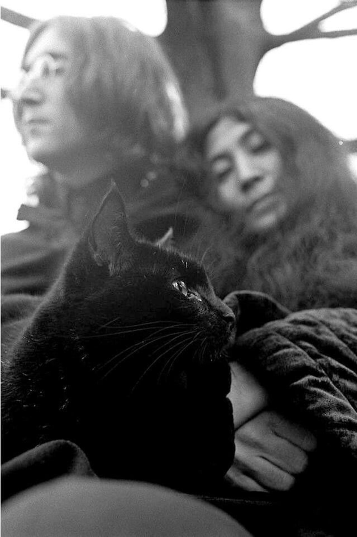 John Lennon, Yoko Ono and the Cat