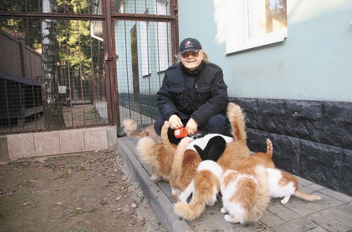 Yuri Antonov avec des chats
