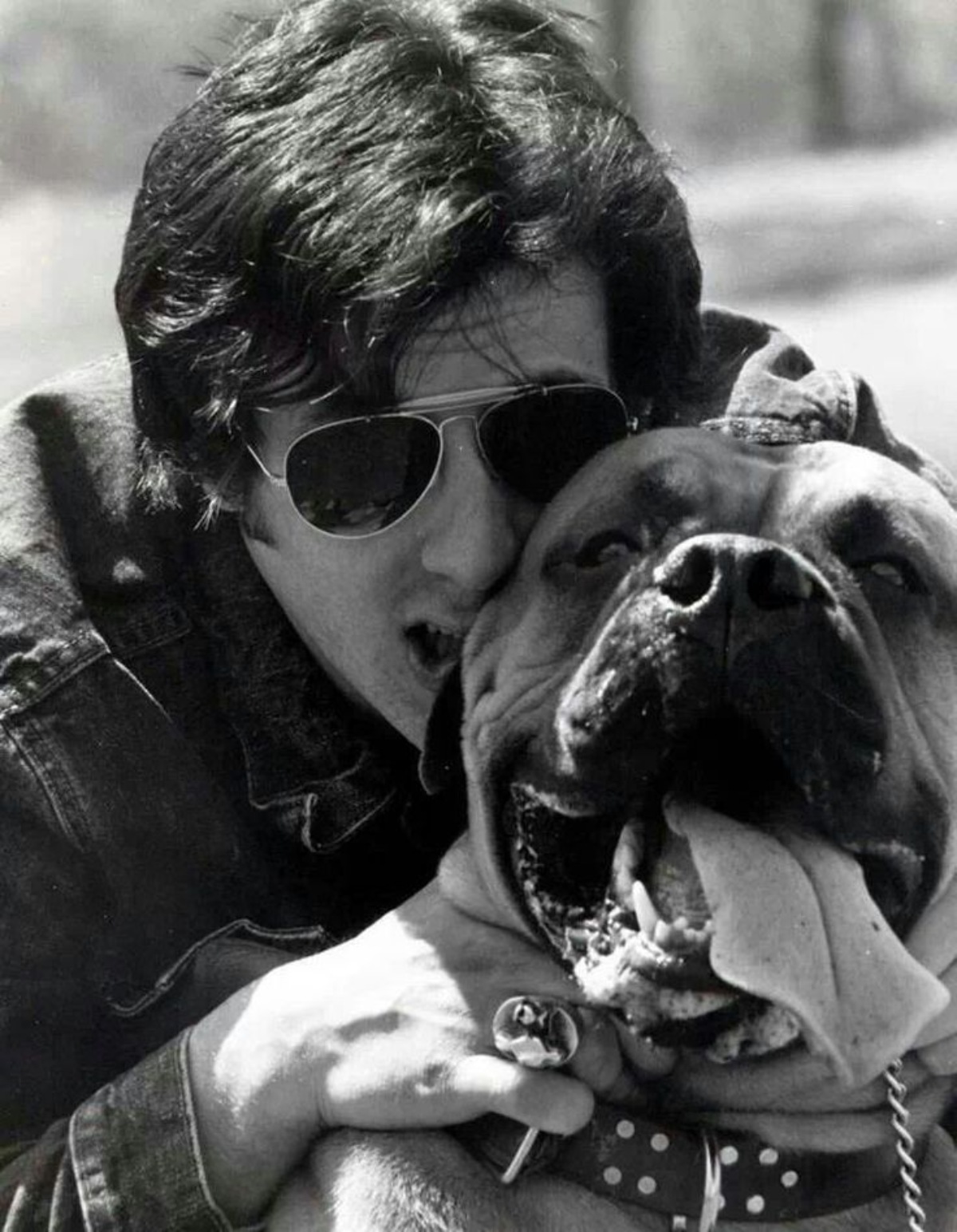 Sylvester Stallone and his dog Butkus