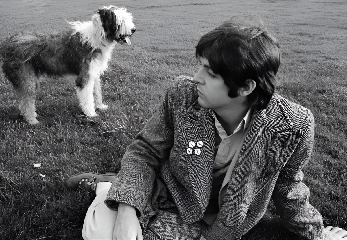 Paul McCartney through the lens of his wife Linda