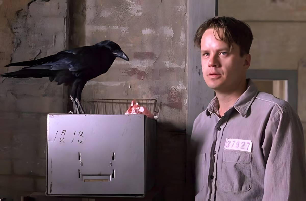 Ein Standbild aus dem Film "Escape from Shawshank".
